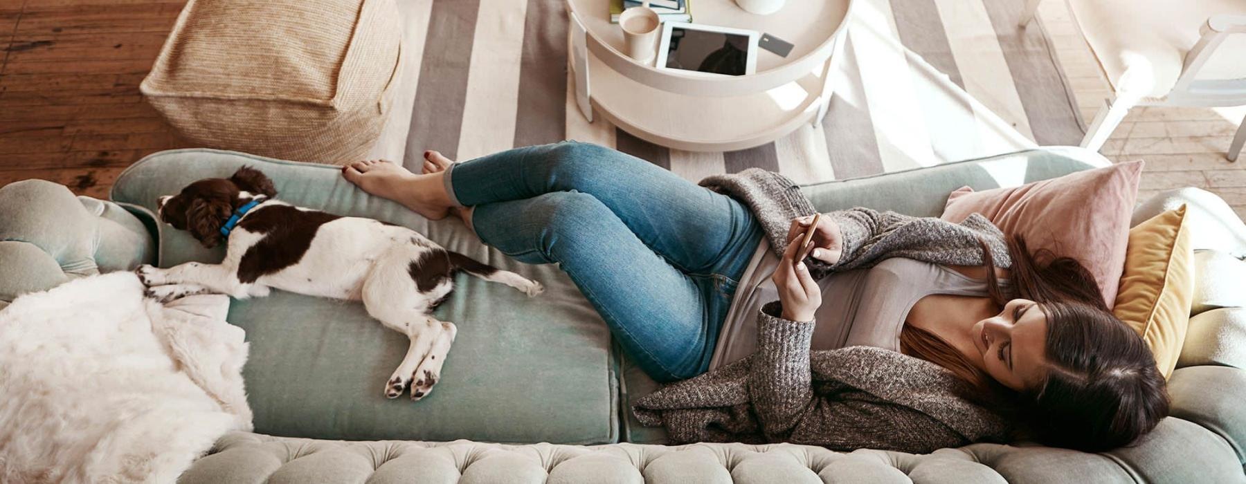 overhead view of  a woman texting as she lies on a couch with a dog at her feet